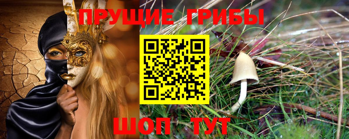 Кировск  цены   Вход с VPN  Галлюциногенные грибы Cubensis  Галлюциногенные грибы Magic Shrooms 