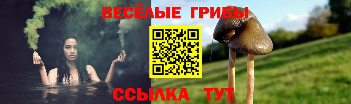 Псилоцибиновые грибы MAGIC MUSHROOMS Кировск